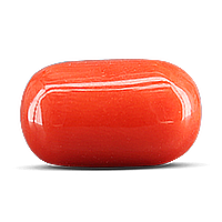 7 Carat Red Coral ( 7 Ratti Moonga )